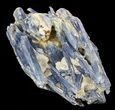 Vibrant Blue Kyanite Crystals In Quartz - Brazil #56932-3
